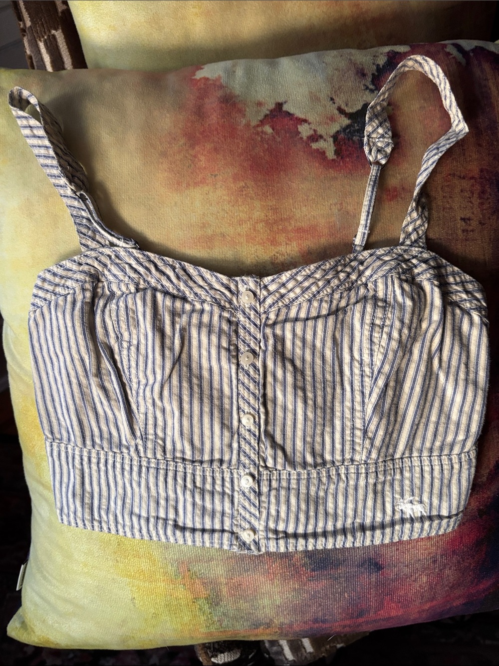 Abercrombie & Fitch Blue and White Striped Cropped Button-Front Tank